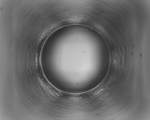 X0000054390494200508011257