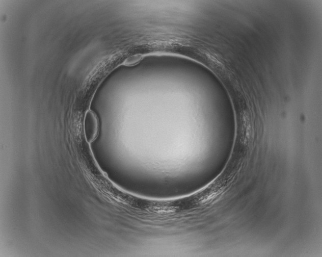 X0000054390495200508011257