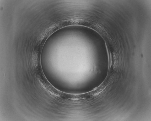 X0000054390496200508011257