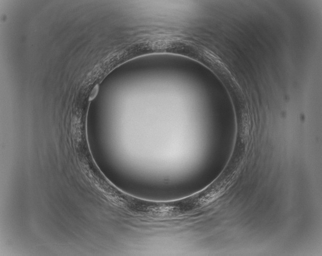 X0000054390497200508011257