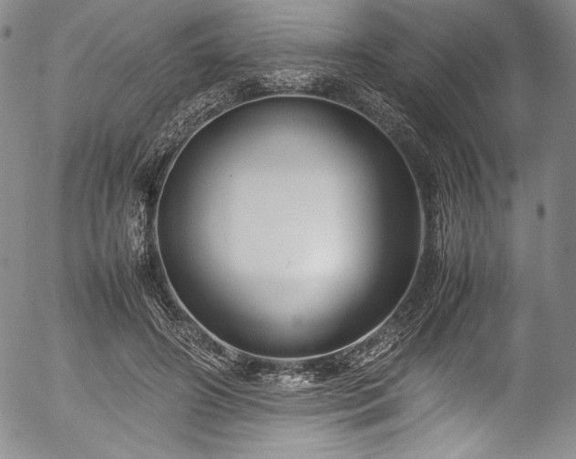 X0000054390498200508011257