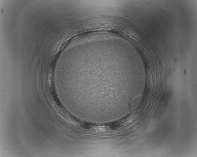 X0000054390499200508011257