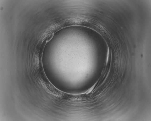 X0000054390500200508011257