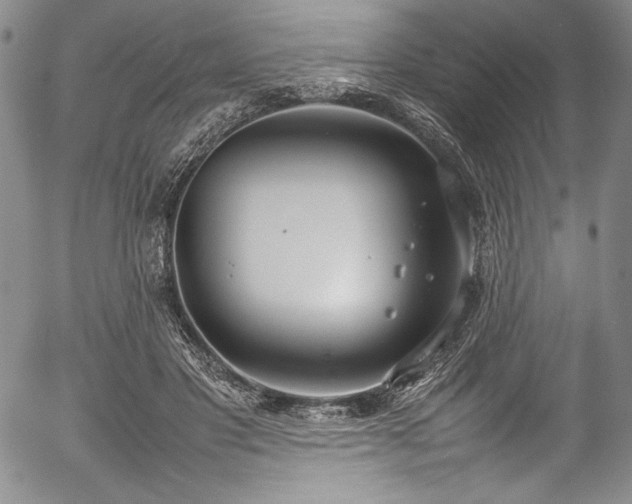 X0000054390501200508011257