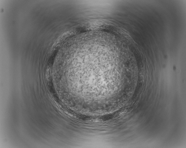 X0000054390503200508011257