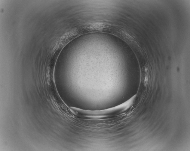 X0000054390504200508011257