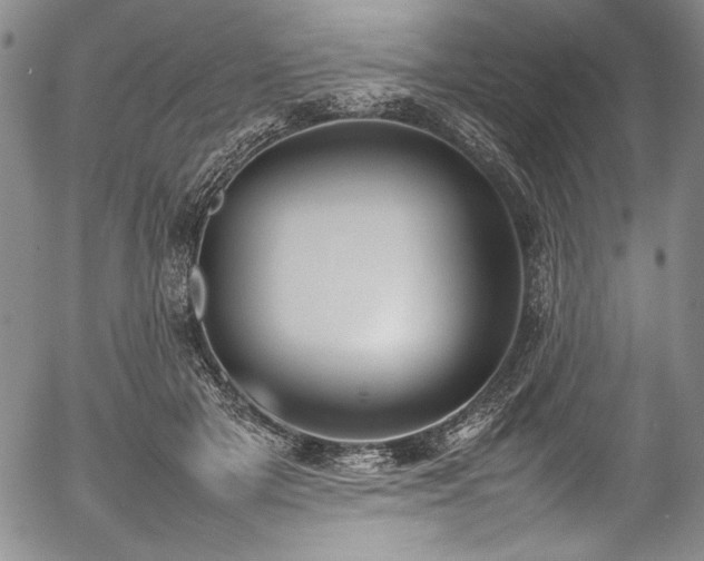 X0000054390505200508011256