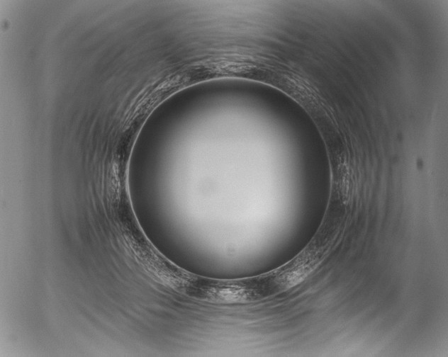 X0000054390506200508011256