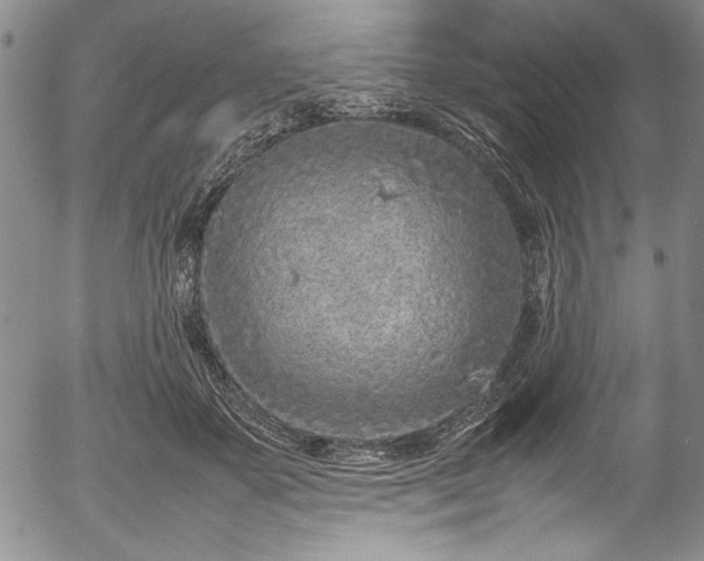 X0000054390507200508011256