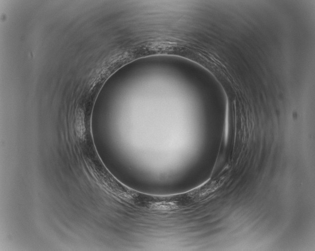 X0000054390508200508011256