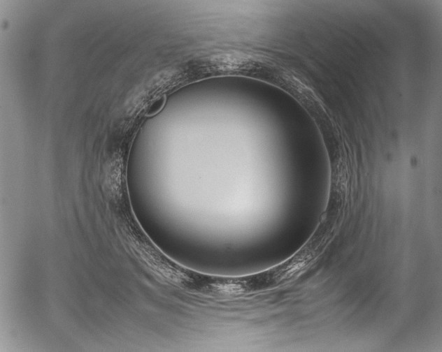 X0000054390509200508011256