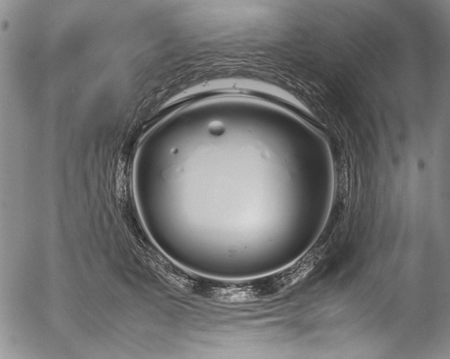 X0000054390511200508011256