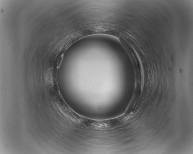 X0000054390512200508011256