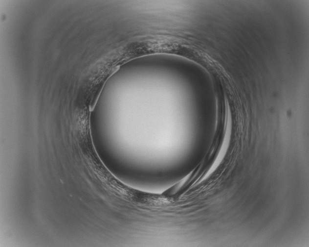 X0000054390513200508011256