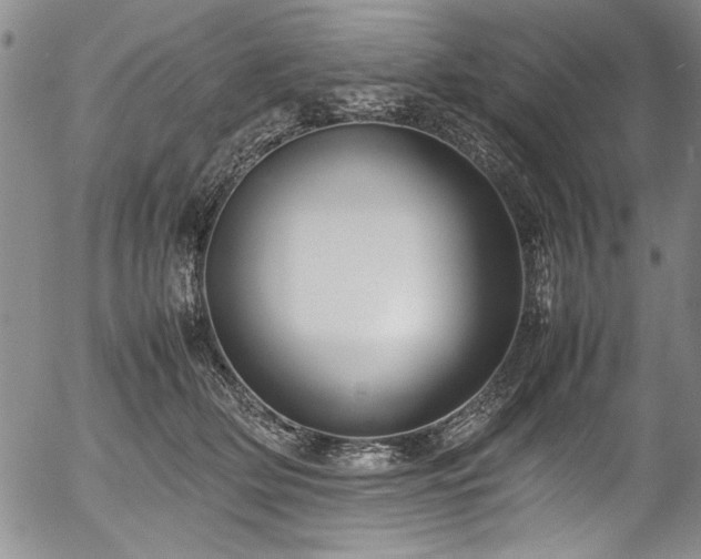 X0000054390514200508011256