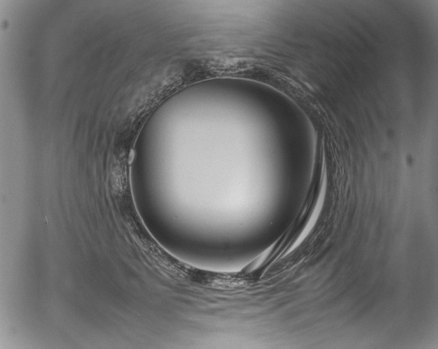 X0000054390515200508011256