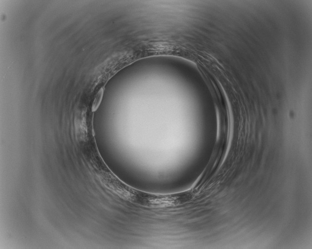 X0000054390516200508011256