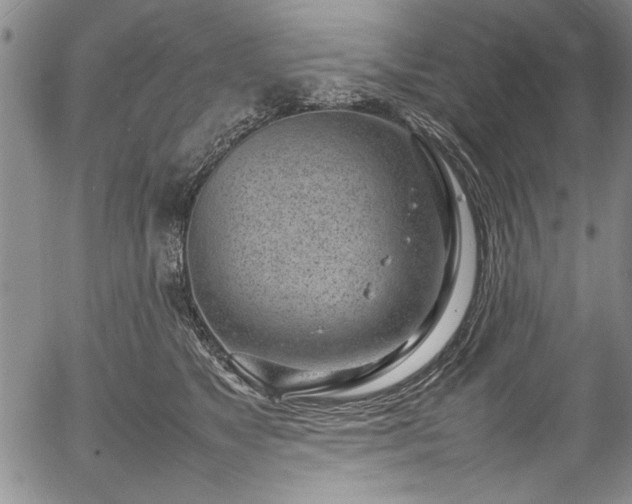 X0000054390517200508011256