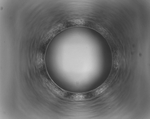 X0000054390518200508011256