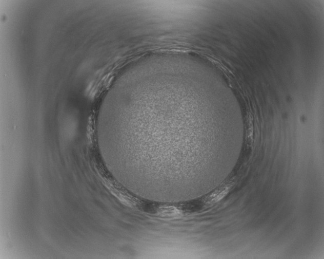 X0000054390519200508011256