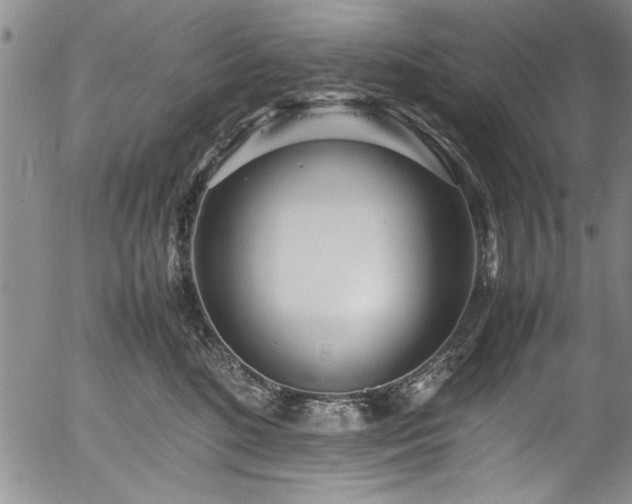 X0000054390520200508011256