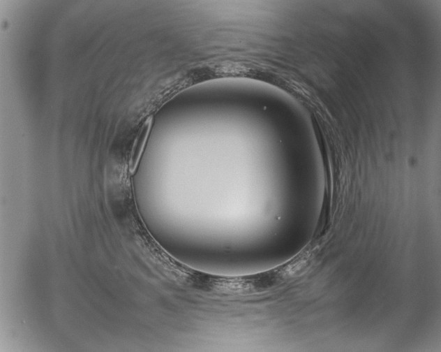 X0000054390521200508011256