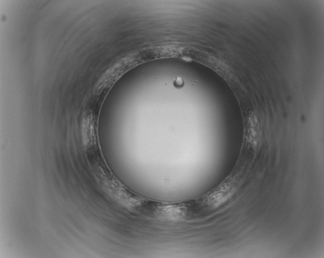 X0000054390522200508011256