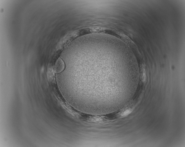 X0000054390523200508011256