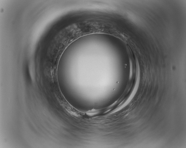 X0000054390524200508011256