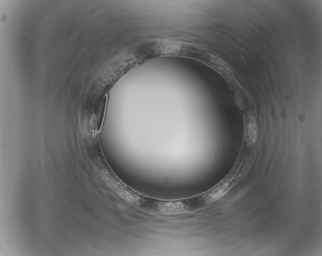 X0000054390525200508011256