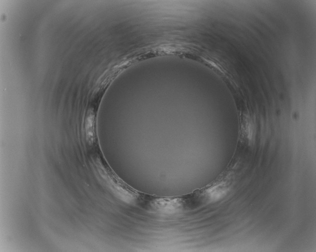 X0000054390526200508011256