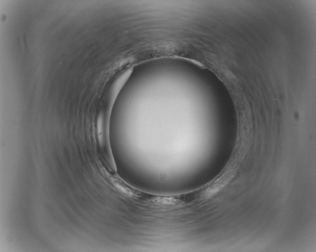 X0000054390528200508011256