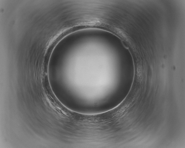 X0000054390532200508011255