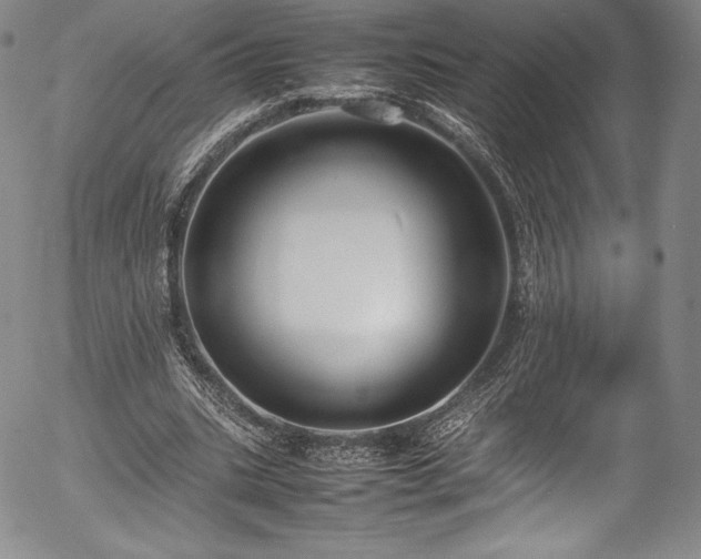 X0000054390535200508011255