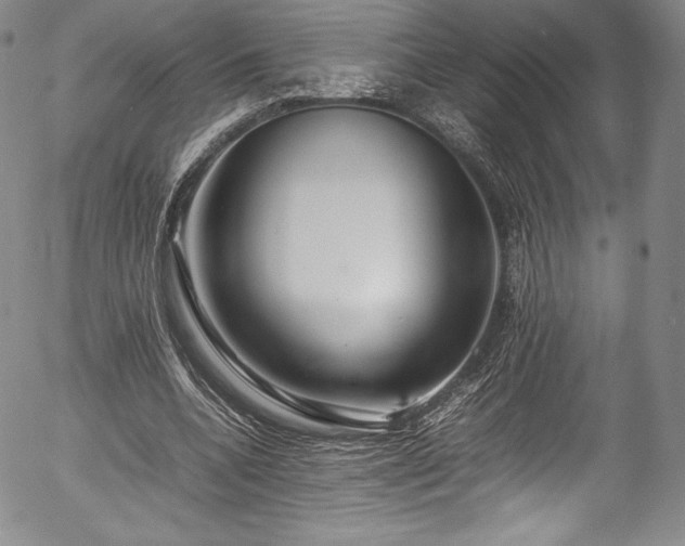 X0000054390536200508011255