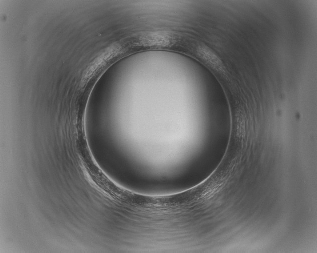 X0000054390538200508011255