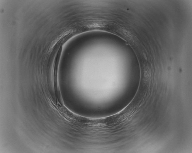 X0000054390539200508011255