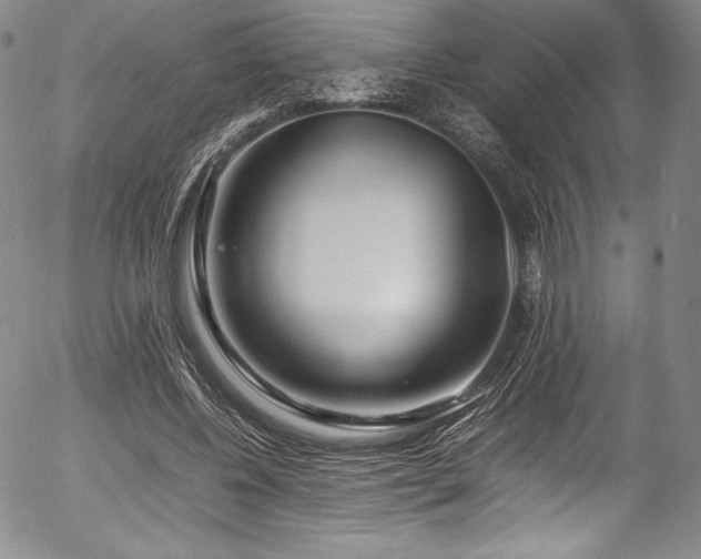 X0000054390540200508011255