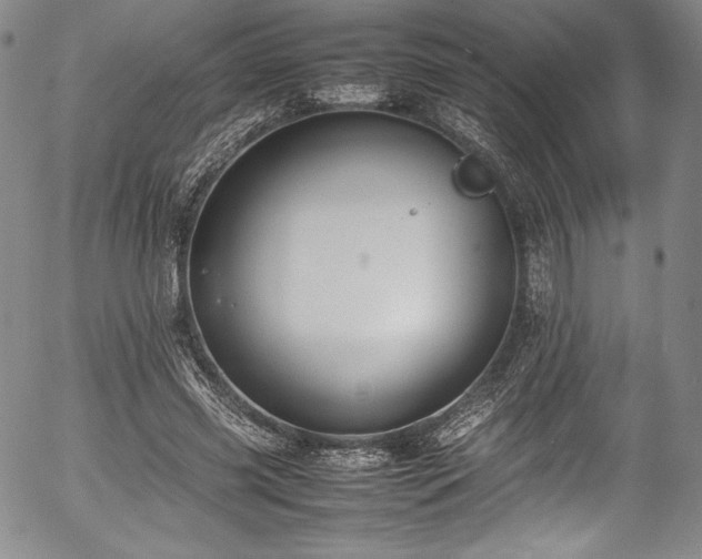 X0000054390541200508011255