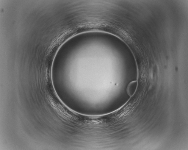 X0000054390542200508011256