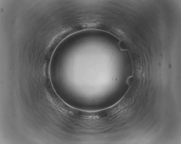 X0000054390543200508011256