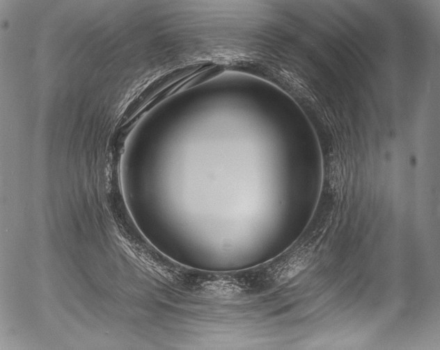 X0000054390544200508011256