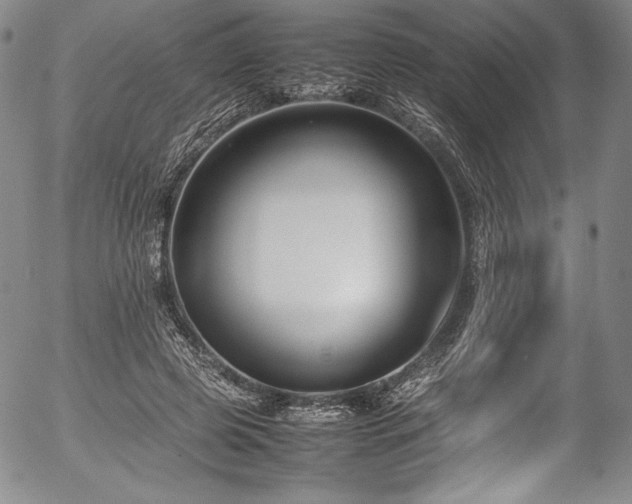 X0000054390545200508011256