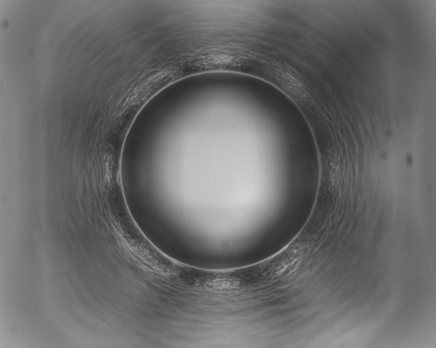 X0000054390546200508011256