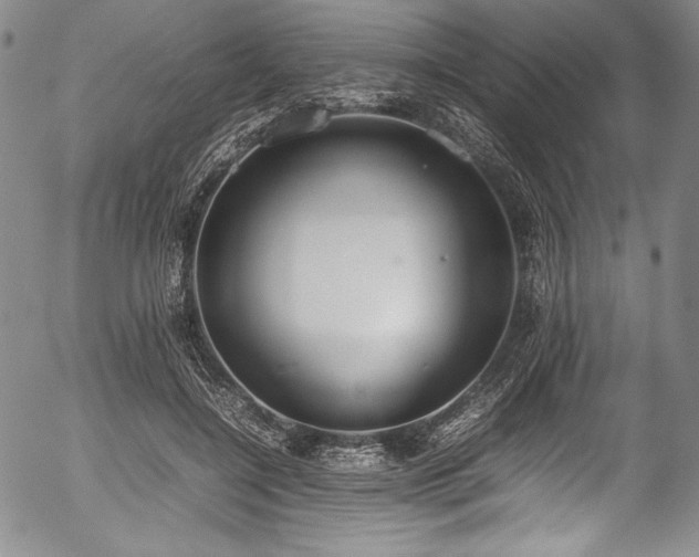 X0000054390548200508011256