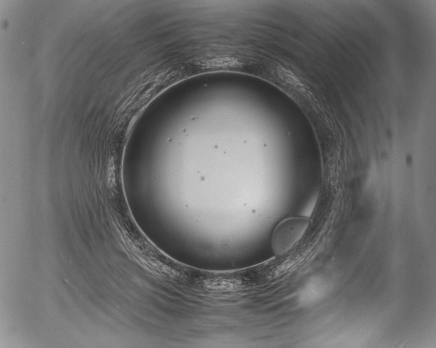 X0000054390549200508011256