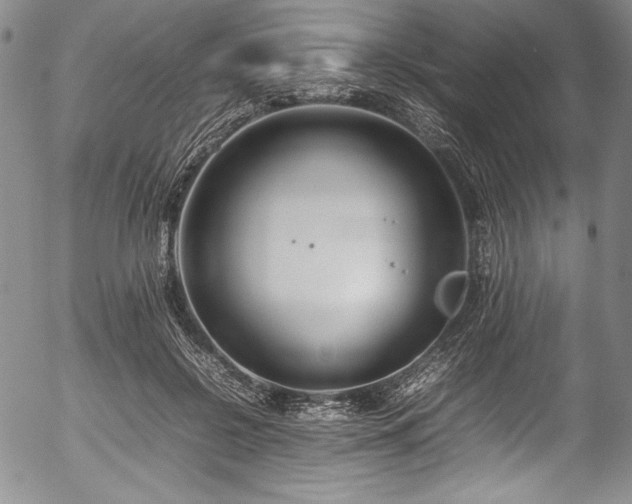 X0000054390550200508011256