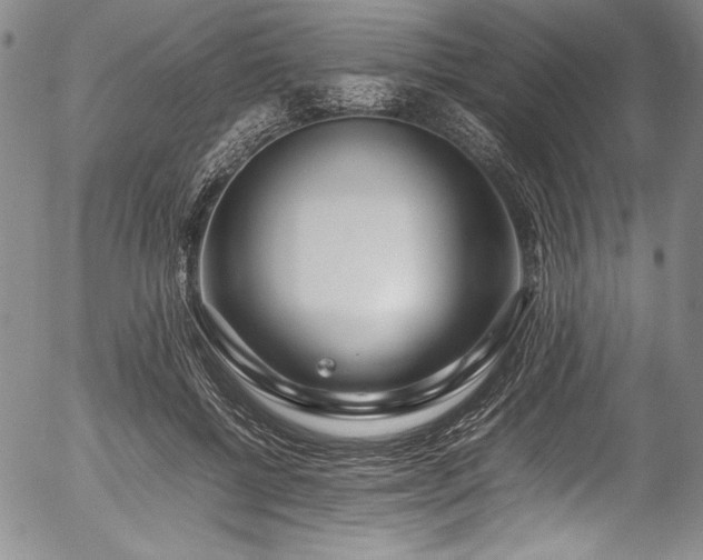 X0000054390552200508011256