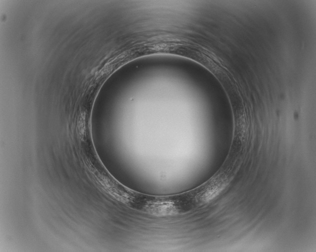 X0000054390554200508011256