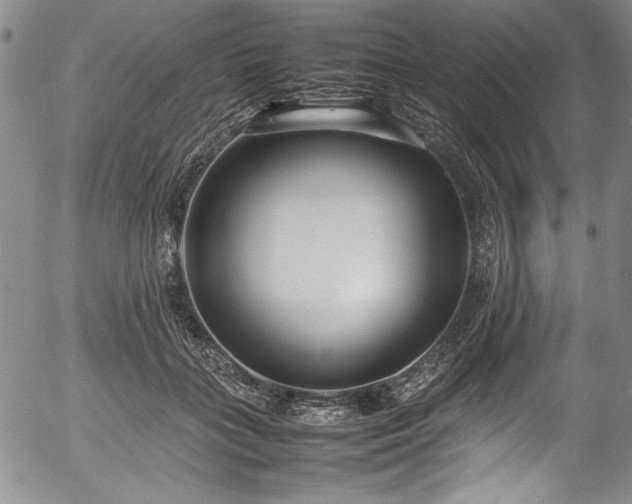 X0000054390555200508011256